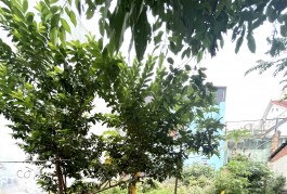 Bán Đất Thổ Cư Đẹp Hẻm Xe Hơi 195m2_8*21 chỉ 7.1 tỷ ~30tr.m2 QL1K Linh Xuân Thủ Đức